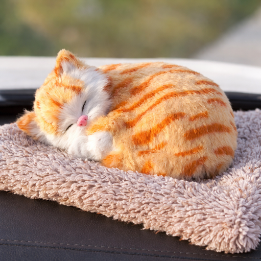 Cutiee Cat Plush with Meow Sound